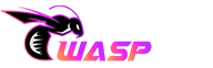 ZAPP SPIN